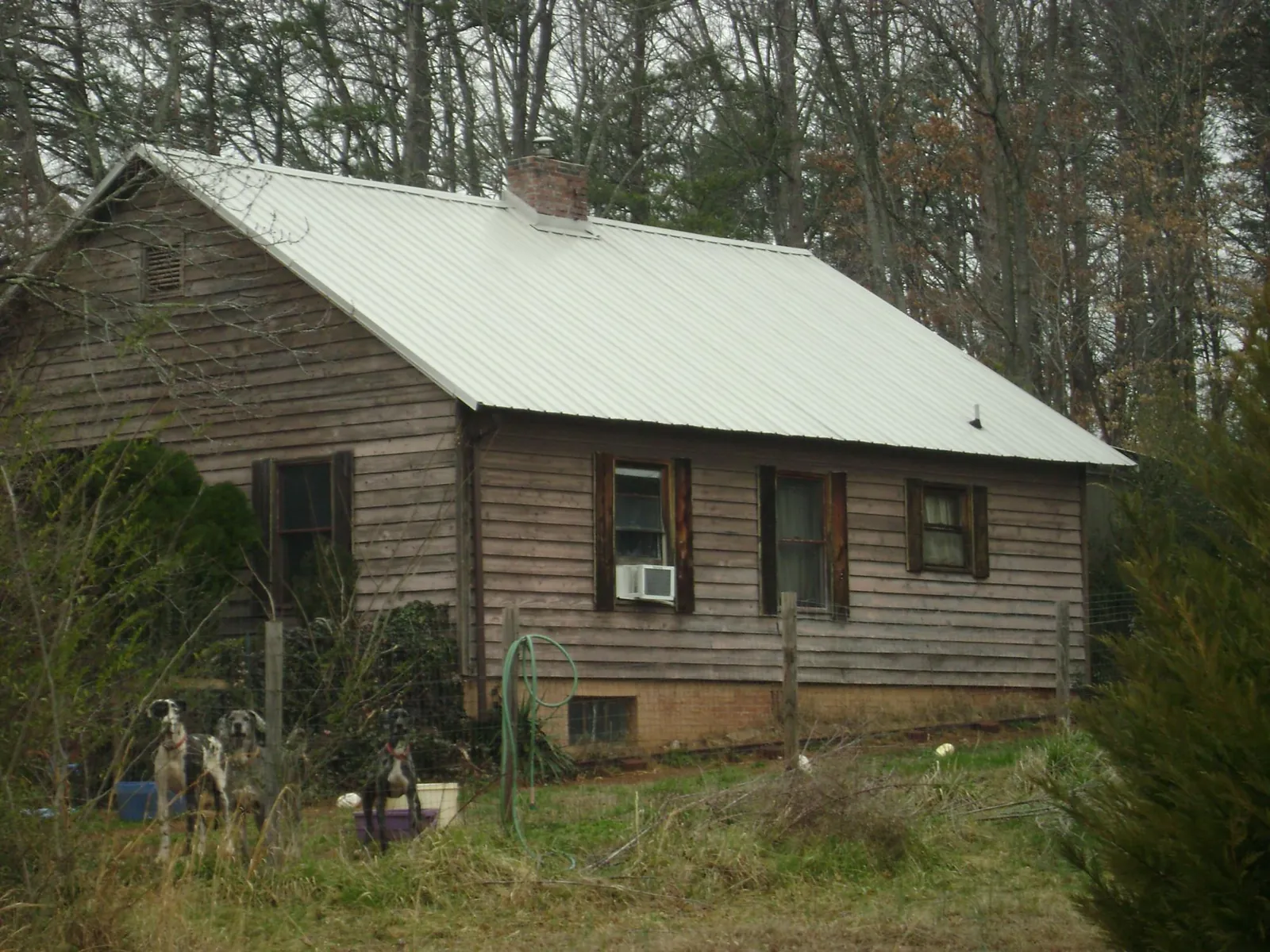 White metal roof on an old wood sided farmhouse, from a Asphalt Shingle Roof Repair job in Dana